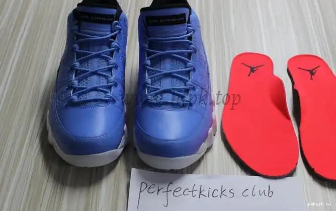 Authentic Low Jordan 9 Pantone Air 0502